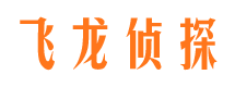 镇海侦探公司